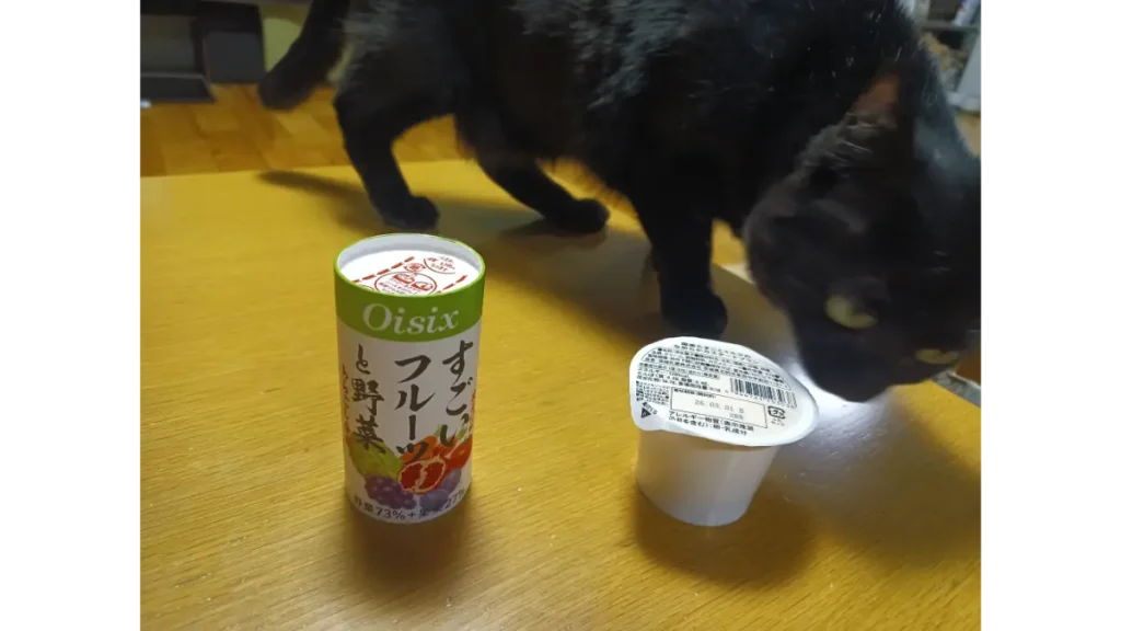 オイシックスお試しセットに愛猫も興味あり。